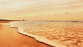 Goldener Strand von Gjalt Gjaltema