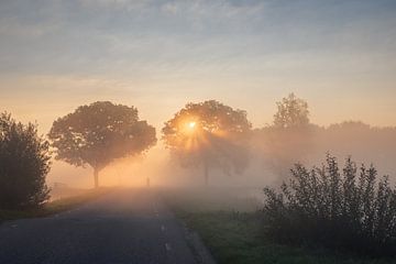 The lone cyclist by René Sluimer