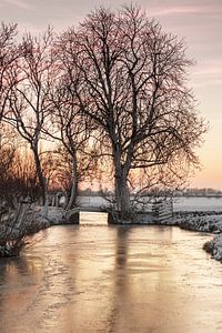 Winter in Netherlands von Rob van der Teen