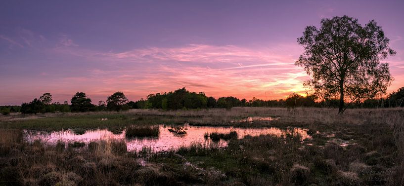 Gold Lake Reflection by Stephan Smit