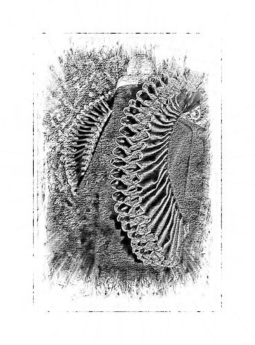 Historical collar depicted in black and white