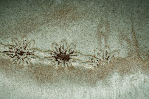 Pottery Flowers 2. Nieuw Landelijk