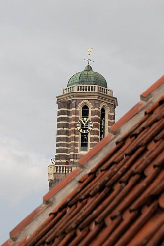 Peperbus-Kuckuck