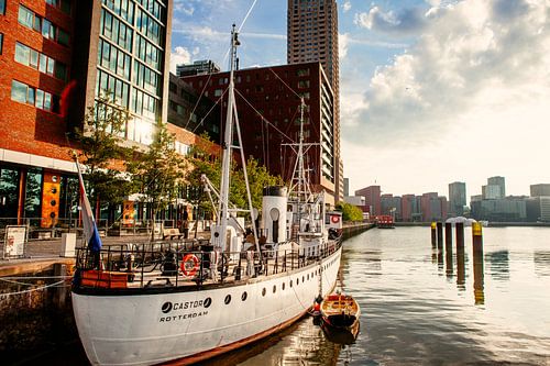 MLV Castor in Rotterdam's Rijnhaven by Pieter Wolthoorn