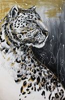 Jaguar-abstract