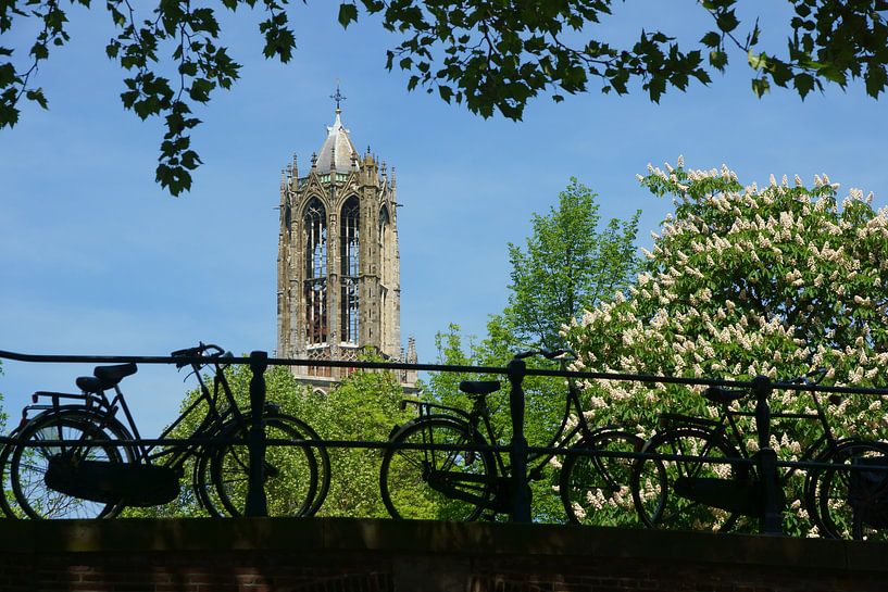 Fietsen op een brug in Utrecht  van Michel van Kooten