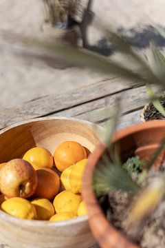 Fruchtfoto I Detailfoto in warmer Atmosphäre, botanisch von Lydia