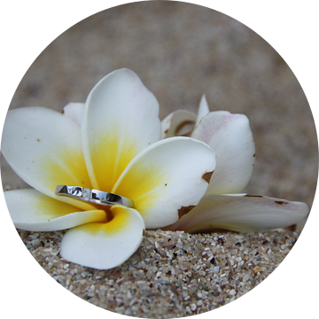 verlovingsring in bloem op het strand van Ruud Wijnands