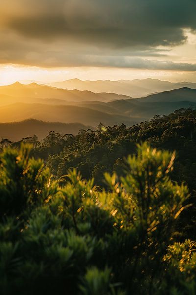 Wandeling in de dag van fernlichtsicht