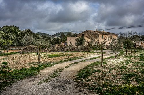 Finca op Mallorca van Marcel van Berkel