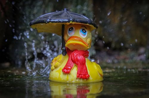 Canard en caoutchouc avec parapluie