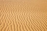 Sand von Tilo Grellmann Miniaturansicht