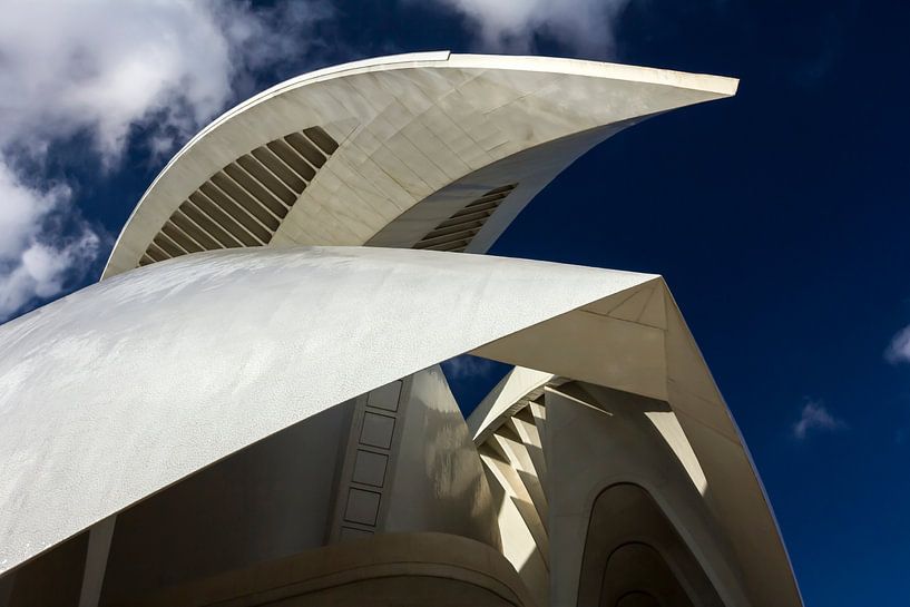 Valencia - City of Arts and Sciences van Bas Bakema