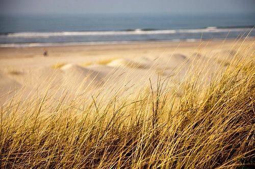 Island Spiekeroog, Lower Saxony by Peter Schickert