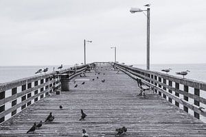 Goleta Pier by Bas Koster