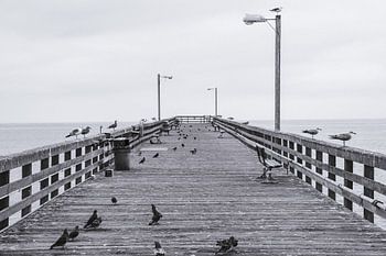 Goleta Pier