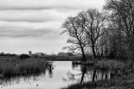 Ligne ou Passageule près de Waterlandkerkje par Ellen Driesse Aperçu