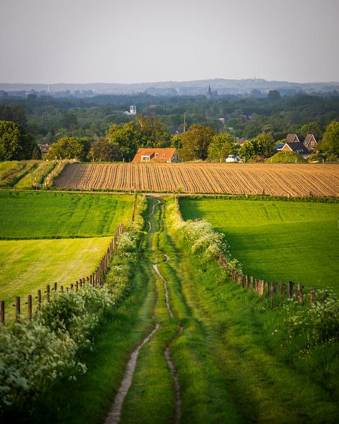 Feldweg durch die Felder bei Groesbeek von Luc van der Krabben