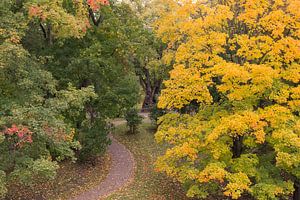 HERBST 04 von Tom Uhlenberg