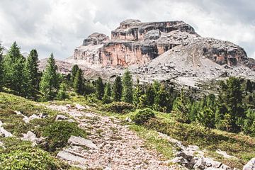 Fanes-Sennes-Prags Natural Park in the Dolomites (Italy) by Expeditie Aardbol