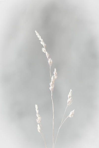 Silence by Ellen Metz
