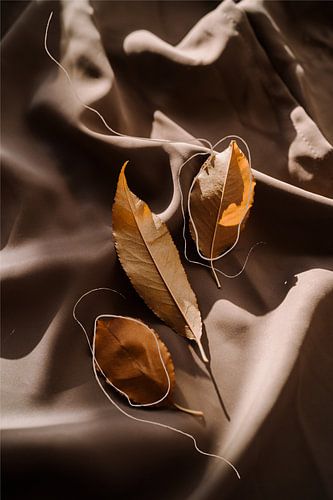 Flatlay, Stillleben eines warmen Herbstes