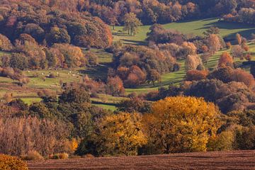 Herfstkleuren op de heuvels van Zuid-Limburg