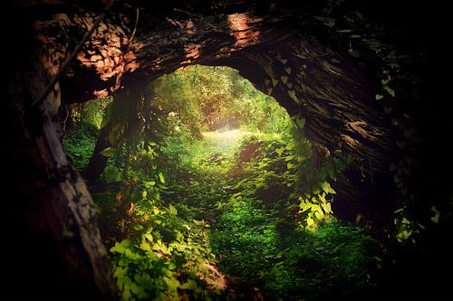 La porte de la Terre du Milieu