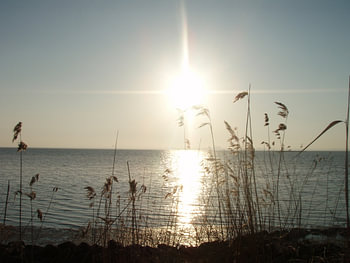 Zonsondergang Öland (Zweden) #2