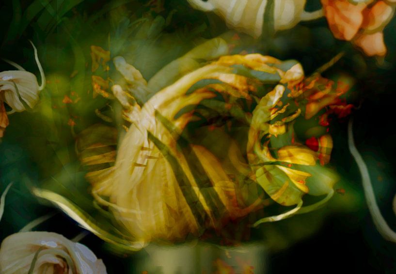 Kleine fee mannetje in  sprookje - bloementuin - bloei, bloemen, kleuren van John Quendag