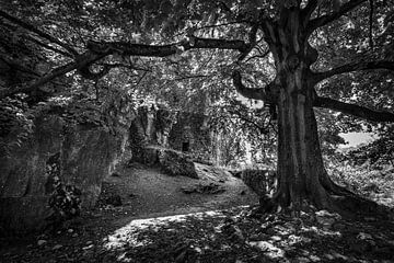 Schloss Fort de Logne von Rob Boon