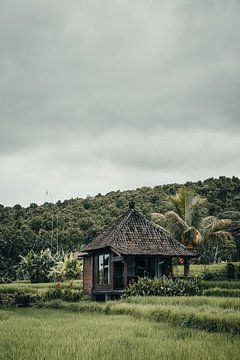 Authentiek tropisch uitzicht in Bali, Indonesië van Troy Wegman