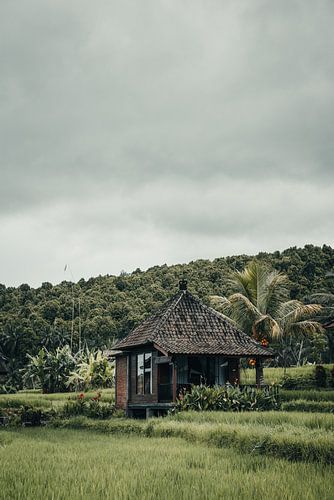Authentic tropical views in Bali, Indonesia