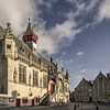 Stadhuis Damme van Mario de Lijser