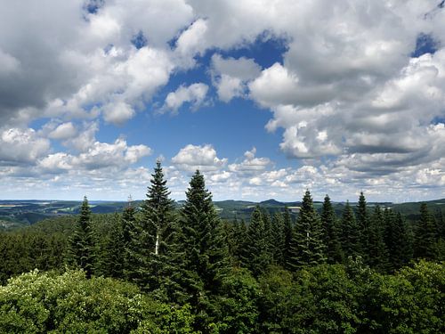 Die Eifel vom Aussichtspunkt Dietzenley 2