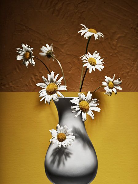 Abschnitt Gewöhnliches Gänseblümchen in Vase von Martijn Hoogendoorn