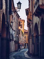 Padua (Italy)