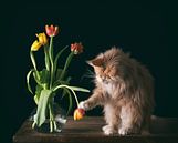 Wodan und seine Tulpen von mirka koot Miniaturansicht