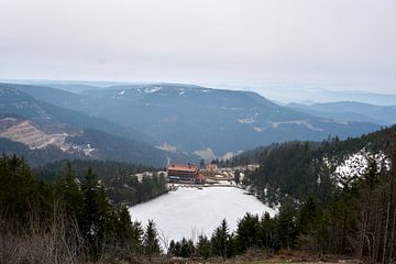 Panoramisch uitzicht op de Mummelsee in het Zwarte Woud van creativcontent