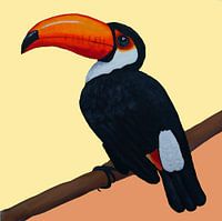 Toucan