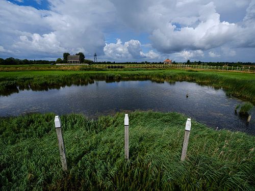 Hafen von Schokland