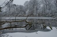 Winters landschap van Remco Swiers thumbnail