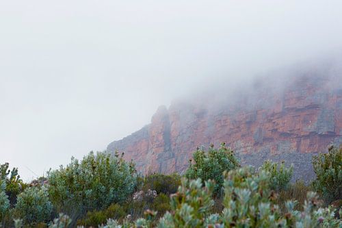 Mistige Cederberg Afrika