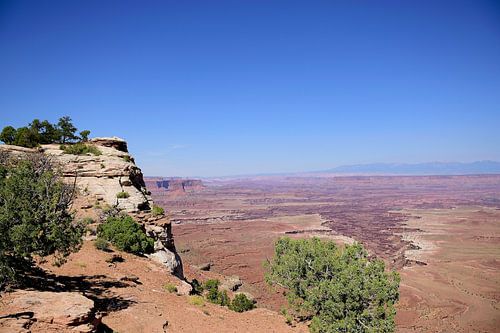 Buck Canyon uitzicht