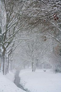 Winterwunderland auf der Veluwe