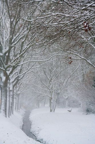 Winterwunderland auf der Veluwe
