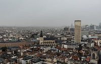 Stadzicht over Brussel centrum van Werner Lerooy thumbnail