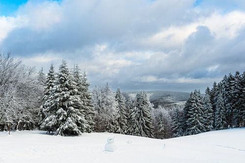 Winterlandschap in het Thüringer Woud bij Schmied