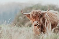 Scottish Highlanders in the Dutch Dunes