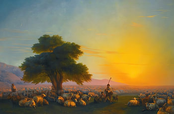 Coucher de soleil sur les pâturages dorés